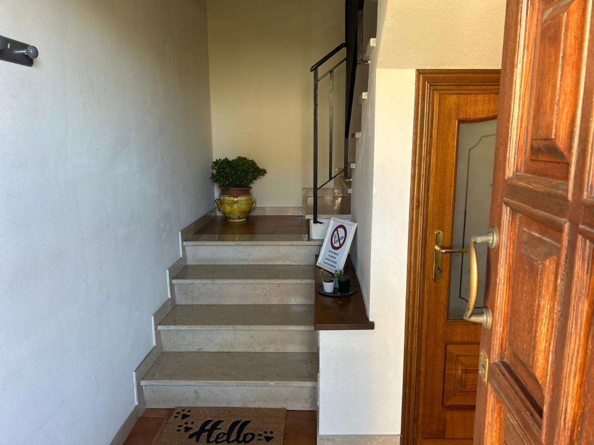 Albi'S House,Terrazza ,Wi-Fi, Parcheggio, Ac Apartment Lucca Ngoại thất bức ảnh