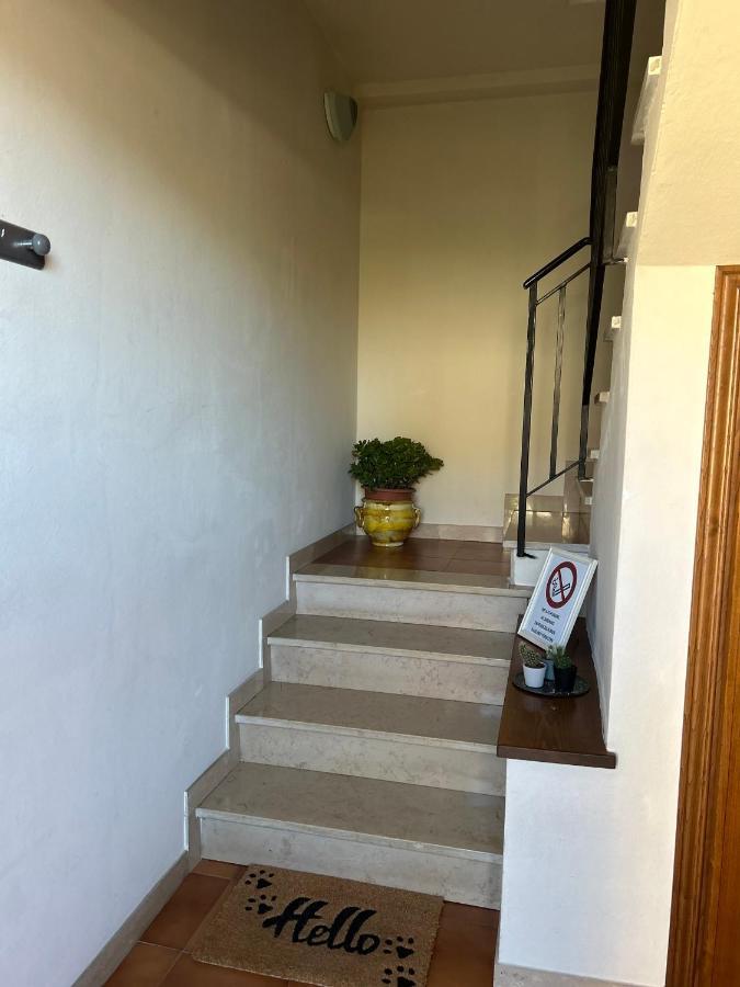 Albi'S House,Terrazza ,Wi-Fi, Parcheggio, Ac Apartment Lucca Ngoại thất bức ảnh